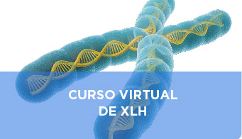Curso virtual de XLH